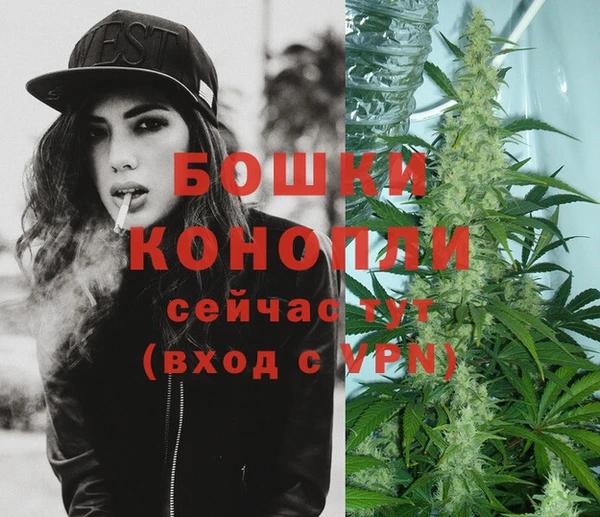 крисы Новокубанск