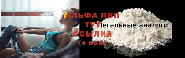 крисы Новокубанск