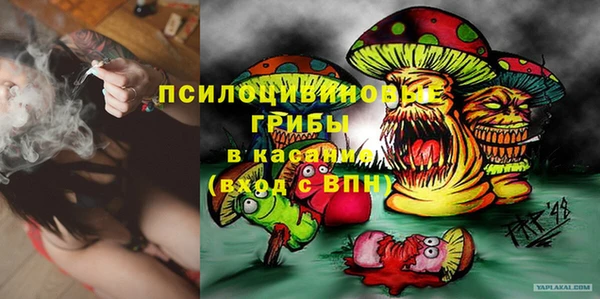 крисы Новокубанск