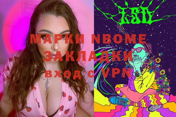 крисы Новокубанск