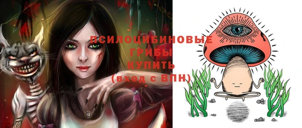 а пвп мука Новозыбков