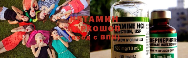 a pvp Новодвинск
